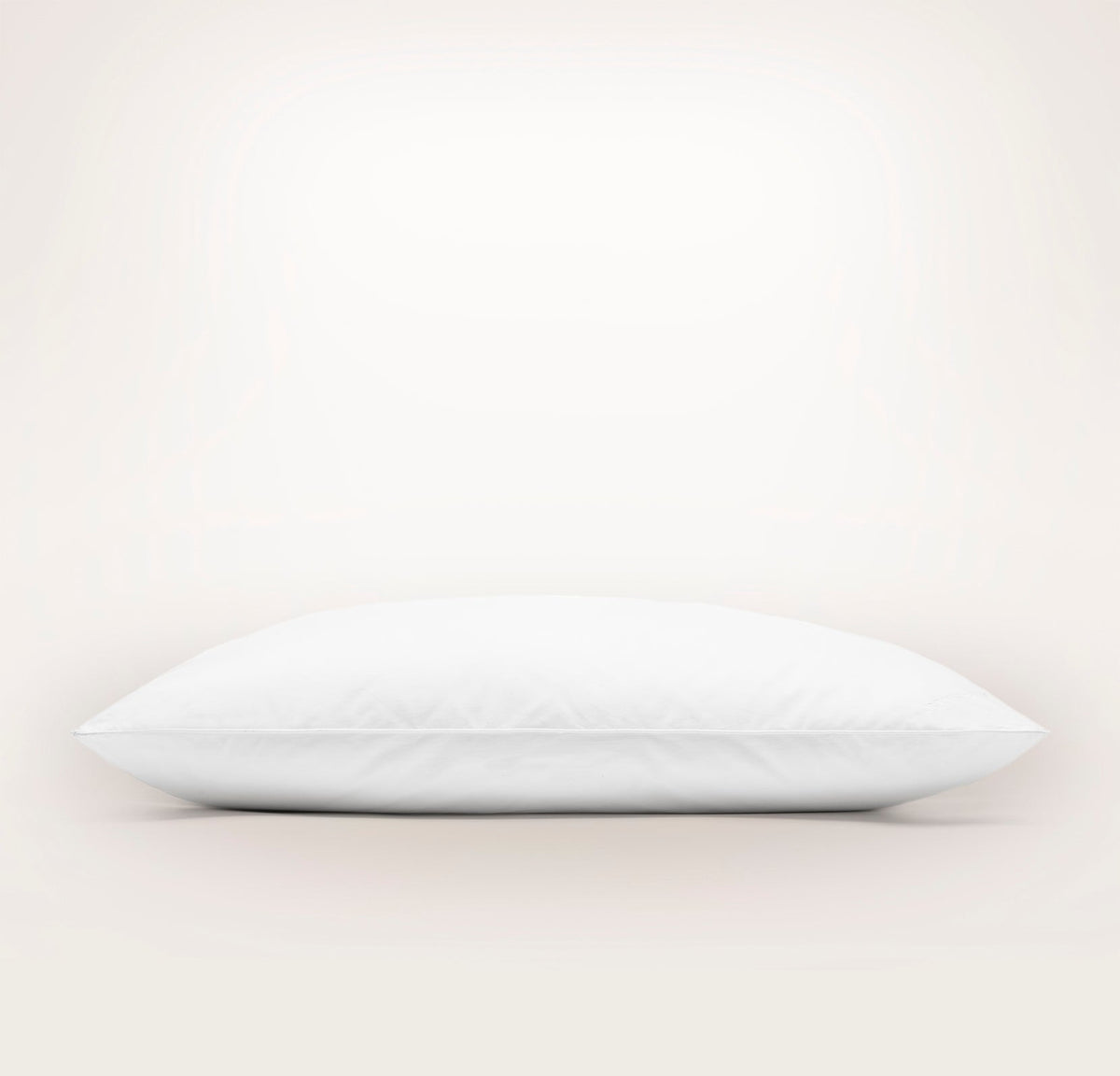 Pillow Insert