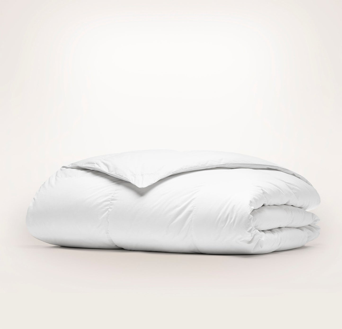 Down Duvet Insert