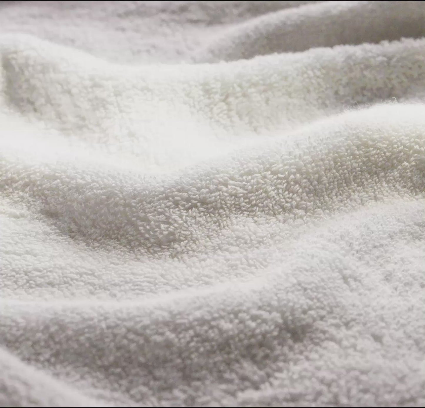 Plush Hand Towels (Pair)