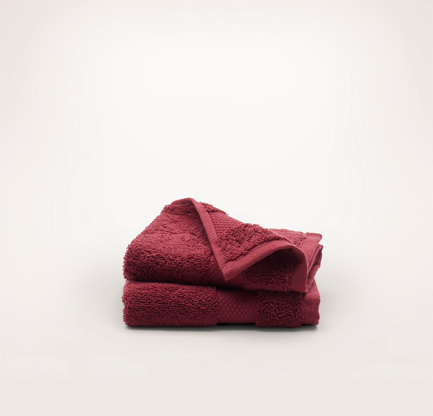 Plush Washcloths (Pair) - Holly